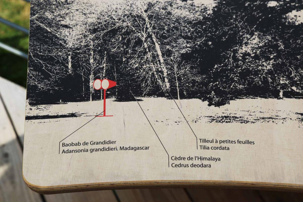  Détail de le table de lecture du paysage