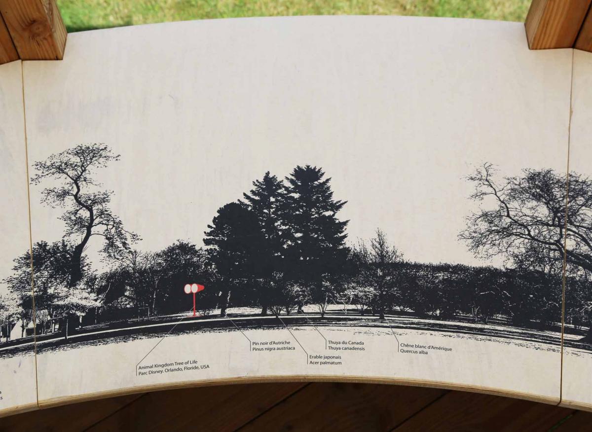   Détail de le table de lecture du paysage