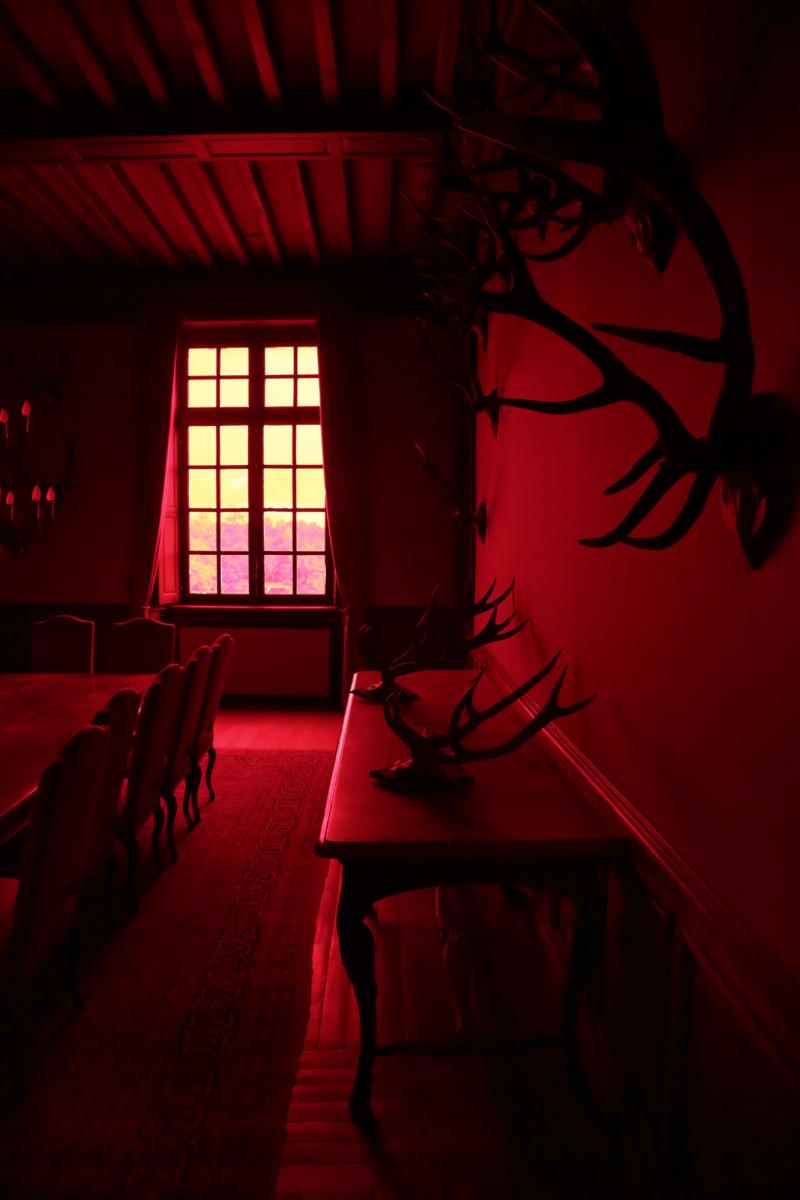   La salle des trophées traitée pour l'exposition "Château rouge"