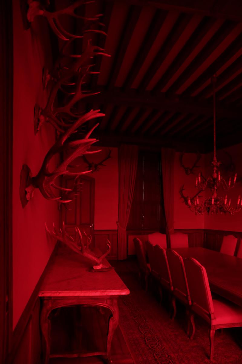  La salle des trophées traitée pour l'exposition "Château rouge"
