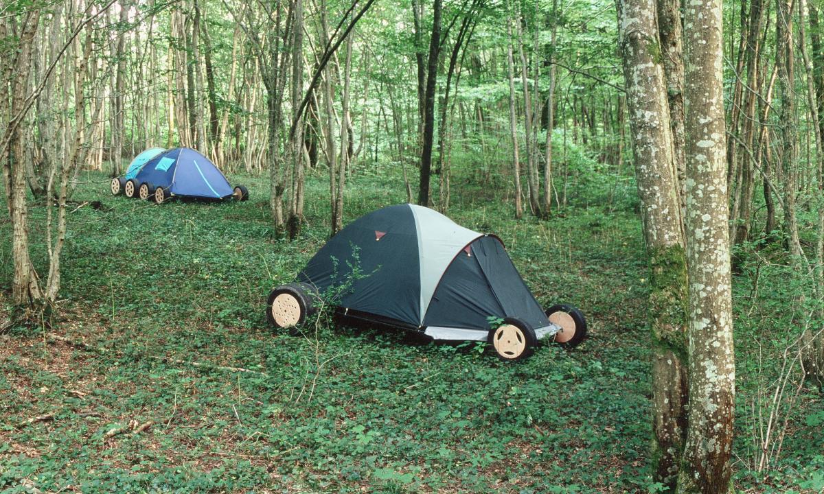 Lever de camps. 2007