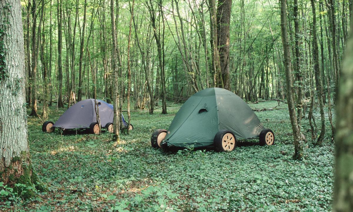 Lever de camps. 2007