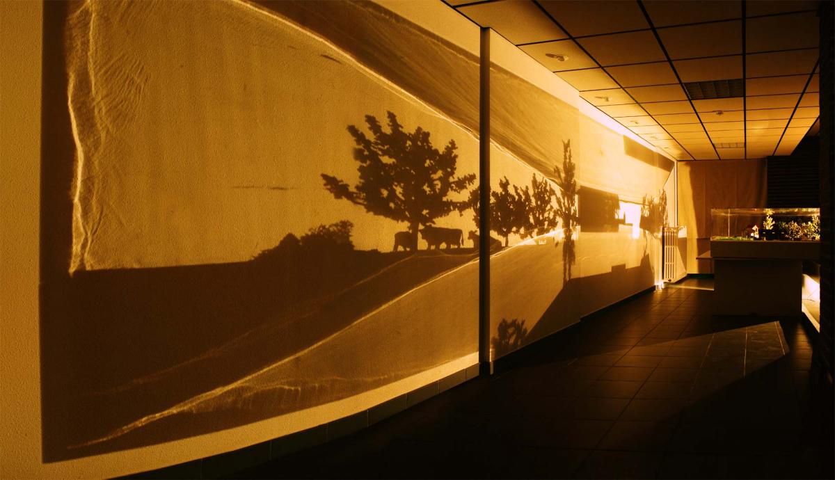 Vue de l'installation Zootrope